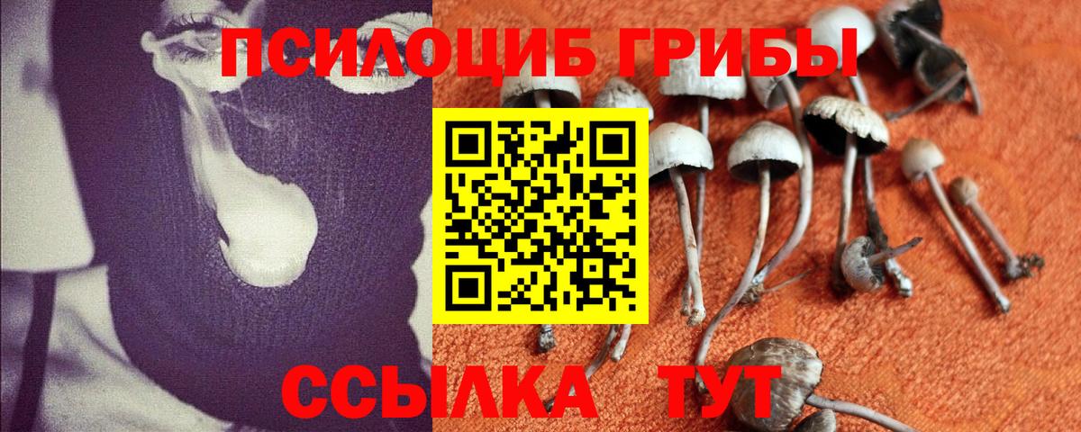 Псилоцибиновые грибы ЛСД Обнинск