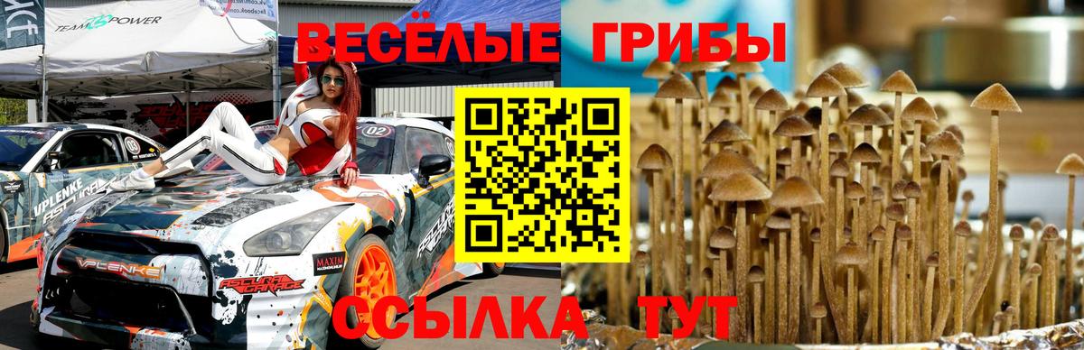 Обнинск  Галлюциногенные грибы GOLDEN TEACHER  Вход с VPN  Псилоцибиновые грибы ЛСД 
